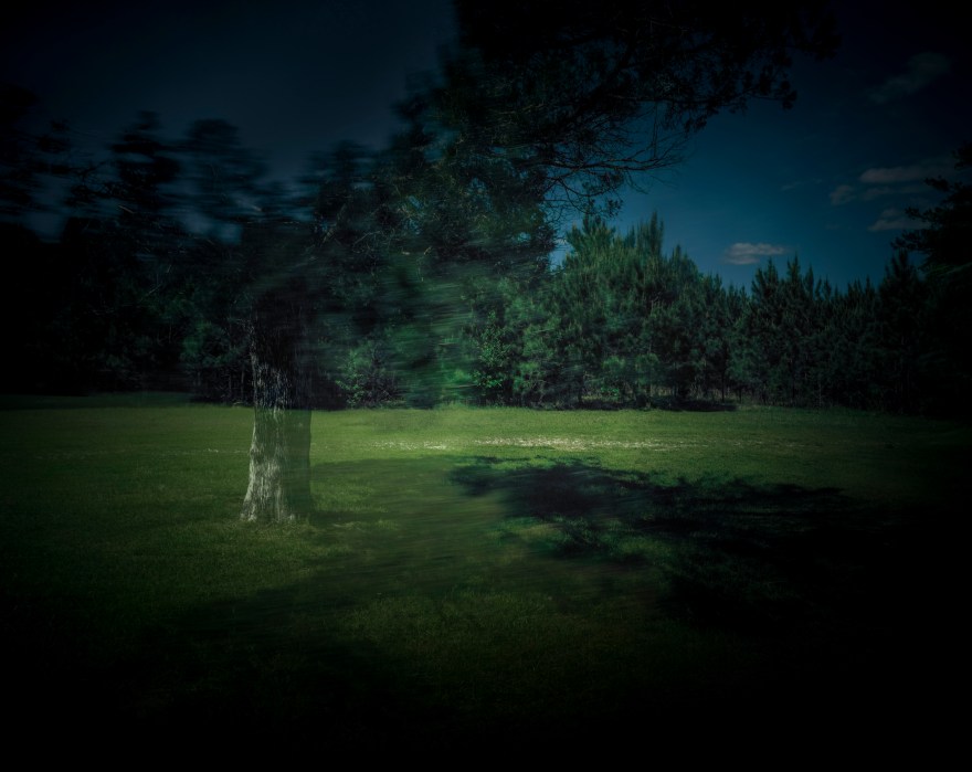 tpoudrier_totem-tree_2016website