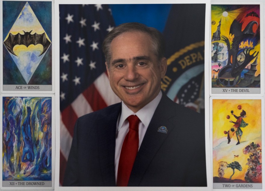 divinations-presidential-cabinet11-secretary-of-veterens-affairs-david-shulki